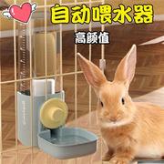 兔子自动饮水器喂水喂食器侏儒兔喝水壶大容量挂式专用防扒漏滚珠