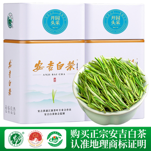 安吉白茶2024年新茶特级开园头采5A明前茶绿茶珍稀白茶茶叶礼盒装