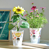 小花农罐头桌面迷你盆栽植物种子发芽观察幼儿园儿童创意植杯礼物