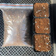 多肉植物用土营养种植工具进口泥炭土铺面石陶粒生根肥料28