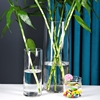 水培植物玻璃瓶透明直筒圆柱，花瓶简约绿萝富贵竹，落地水养干花桌面