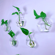 创意墙上壁挂花盆绿萝水培玻璃花瓶绿植餐厅简约客厅墙面壁饰挂件