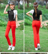 PGM高尔夫衣服女士套装 夏季短袖T恤 韩版立领透气女装球衣