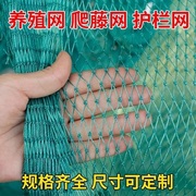 养鸡网菜园隔离网养殖网防护网尼龙网塑料网拦鸡网围栏网安全网