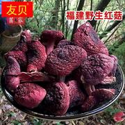 福建野生正宗红菇三明大红菇农家特产高山红蘑菇菌菇干货250g