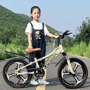 自行车儿童中大童6-8-12岁学生女孩变速山地车小学生脚踏单车卡