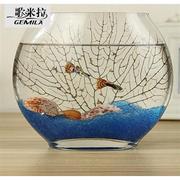 玻璃金鱼缸(金鱼缸)玻璃，创意鱼缸扁口水族箱，小型椭圆形超白桌面透明迷你
