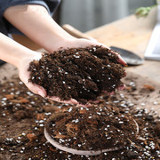 菜盆家庭有机肥种菜专用绿植通用型肥料花园土壤种植花肥