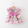 女宝宝裙子0-2-3岁4女童夏装，1婴儿花朵，衣服洋气6个月女童公主裙