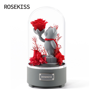 rosekiss永生花红玫瑰小熊，情人节礼盒，新年送女生朋友生日礼物表白