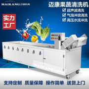 迈康生产果蔬臭氧清洗机 全自动商用洗菜机 304不锈钢果蔬清洗机