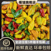 槿馐新鲜水果彩椒500g灯笼，迷你彩椒甜椒，辣椒沙拉凉拌蔬菜