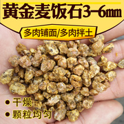 麦饭石颗粒韩国黄金软麦饭石，多肉铺面石拌土种植用干燥无粉颗粒土