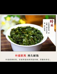 安溪茶农一级散装铁观音