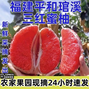 福建三红柚子10斤蜜柚新鲜水果当季孕妇红心整箱三红肉叶琯溪
