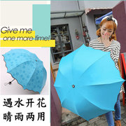 雨伞大量遇水开花晴雨伞黑胶太阳伞女遮阳防晒防紫外线伞