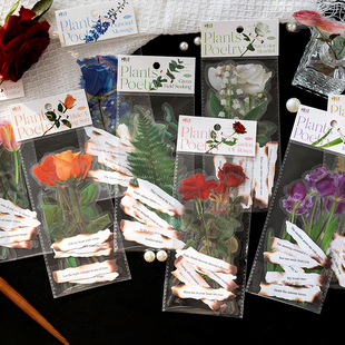 糖诗植物与诗系列大贴纸包，pet文艺复古玫瑰手帐素材花朵个性透明