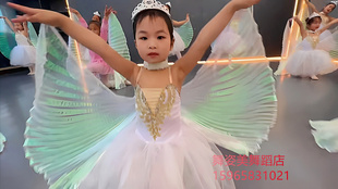 六一小风筝儿童舞蹈服翅膀道具儿童芭蕾舞蹈演出服长款芭蕾裙