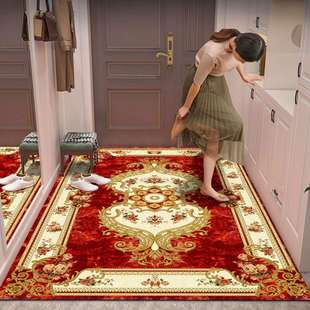 欧式家用进门门口地垫客厅地毯卧室茶几床边毯现代轻奢满铺大尺寸