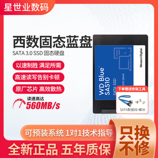 WD西部数据SA510蓝盘2.5固态硬盘500G 1T SATA3台式机250G电脑SSD