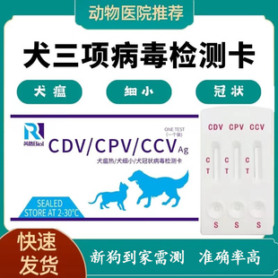 犬瘟细小冠状试纸快速检测卡，cdv犬瘟测试纸cpvccv幼犬狗瘟检测卡