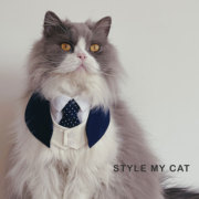 宠物猫狗西装领结婚写真拍照绅士领带围兜口水，巾项圈香港momoji