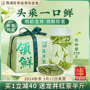 2024年新茶西湖工夫头采明前龙井杭州特级茶叶绿茶250g