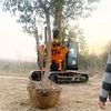 常青四瓣挖树机C80铲式起树机 苗圃移栽移树机一分钟一棵树