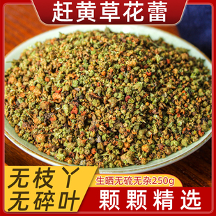 四川古蔺赶黄草花蕾中药材，新货益肝茶脂肪转氨酶肝茶野生250g