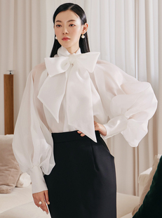 安娜杨家 支持DINT韩国透明纱高领系围巾女衬衫B9115