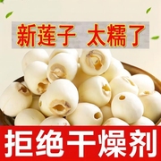 新上市莲子干货正宗湘潭白莲子带芯白莲特产去心莲籽湘莲红莲