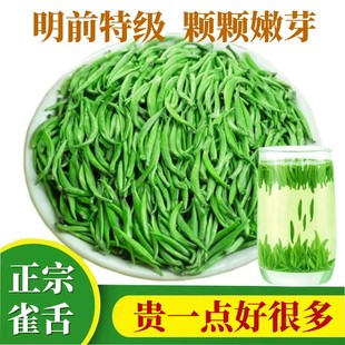 雀舌绿茶2024新茶叶贵州湄潭翠芽明前特级高山春茶