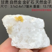 甘肃 自然金 金矿石 天然金子 矿物晶体矿石标本收藏原石礼物13