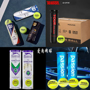 teloon天龙p4wilson网球威尔胜上海大师赛美网法网比赛整箱单罐