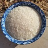 东北农家自产大米2023年新米米饭味浓一份9.5斤黑龙江大米