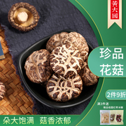 黄大国 花菇250g 古田食用菌特产干货