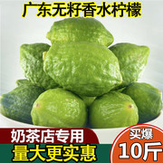 广东香水柠檬一级无籽新鲜水果青柠檬青柠商用奶茶店专用5斤10斤