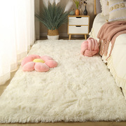 亚马逊跨境pv绒丝毛地毯(毛地毯，)加长毛绒卧室，床边床前地毯客厅大地毯