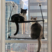 美国kh窗台猫挂床大阳台，窗户吊床悬挂猫窝猫咪吸盘猫架床边挂窝