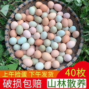 正宗土鸡蛋农家散养新鲜农村，自养天然40枚草，鸡蛋笨鸡蛋乌绿壳蛋