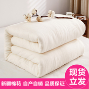 新疆棉被纯棉花被芯床垫全棉被子，棉絮加厚垫被，褥子冬被保暖手工被