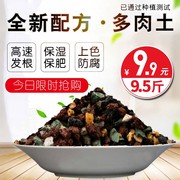 多肉土专用营养土多肉植物颗粒，土泥炭土多肉换盆叶插种植铺面石