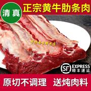 新鲜牛肋条肉5斤精修牛肋排肉剔骨牛排肉农家散养黄牛生牛肉清真