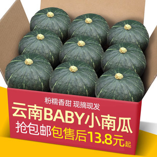 正宗云南贝贝板栗baby小南瓜，9斤装宝宝，辅食日本新鲜栗面粉糯老瓜