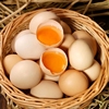土鸡蛋20枚农家散养鸡蛋新鲜五谷虫草笨鸡蛋40g蔬菜