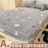 a类抗菌牛奶绒夹棉床笠，单件床罩2023床垫保护罩珊瑚绒床单套