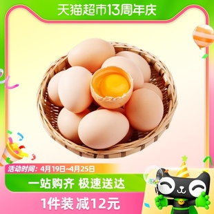 蛋小小农家散养土鸡蛋无激素无色素10枚*45g蛋白细腻蛋黄醇厚