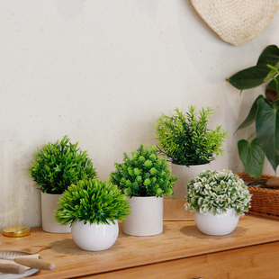 桌面假花仿真绿植盆栽，摆件家居装饰室内植物，盆景假花花卉咖啡厅