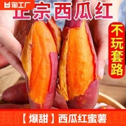 爆甜西瓜红蜜薯沙地蜜薯板栗蜜薯新鲜红心地瓜番薯红薯
