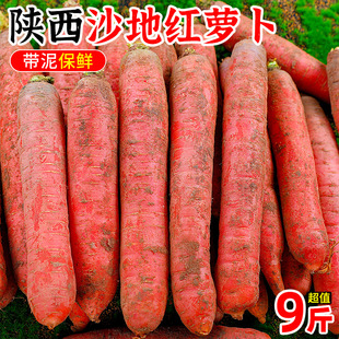 沙地红萝卜9斤陕西胡萝卜当季农家新鲜蔬菜生吃水果红心罗卜5